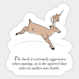 The Buck and the Squirrel Sticker